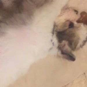 Meet your Posher, Jackb